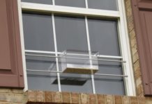 Best Bird Feeders for Apartments